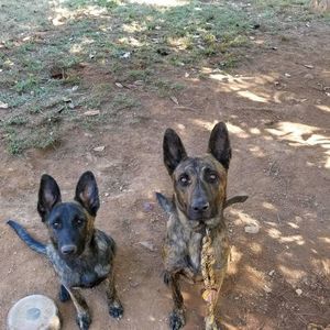 Meet your Posher, Roberto